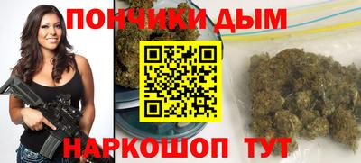 индика Тула