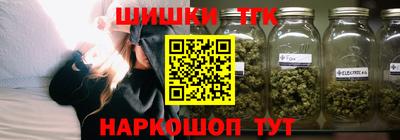 индика Тула