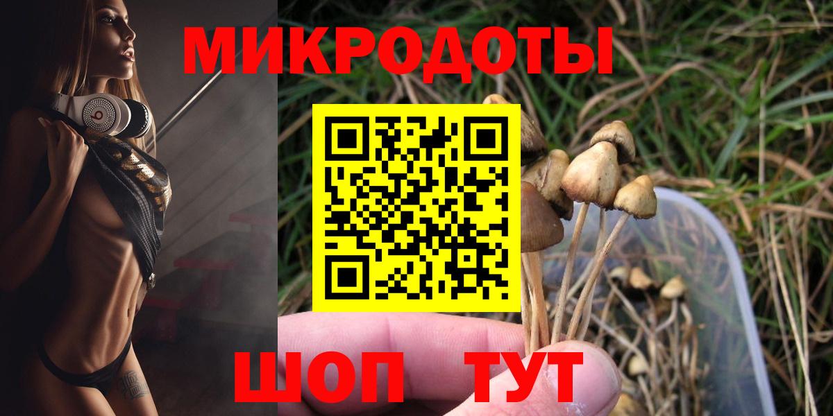 Нерюнгри  купить закладку  Галлюциногенные грибы мицелий  Вход с VPN  Псилоцибиновые грибы MAGIC MUSHROOMS 